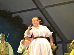 Festival de Folkore en Mula